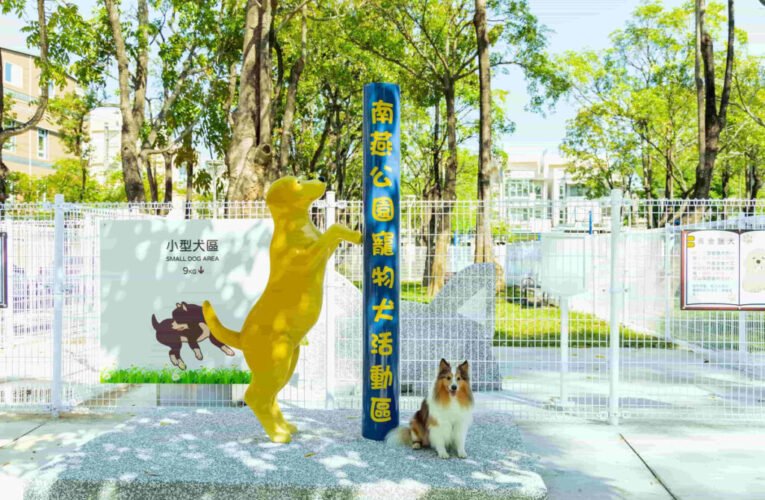 高雄「狗狗小花」盛開中！11處寵物犬活動區啟用再增3處