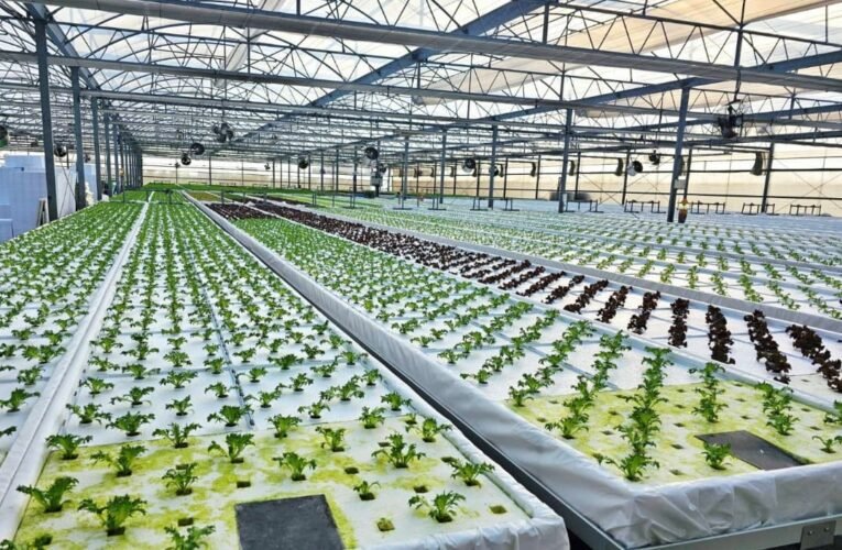 以科技對抗極端氣候　中市打造韌性糧安新局