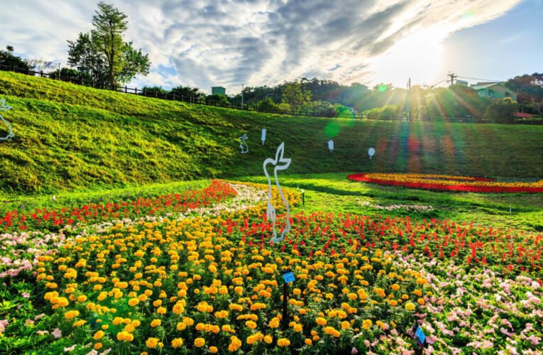 北市河濱花海喜迎春 幸福加馬過新年