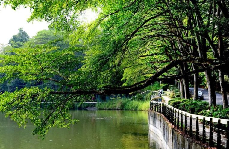 低碳漫遊「一路發」！搭乘台灣好行遊虎頭埤，來趟露營、老街與山林秘境之旅