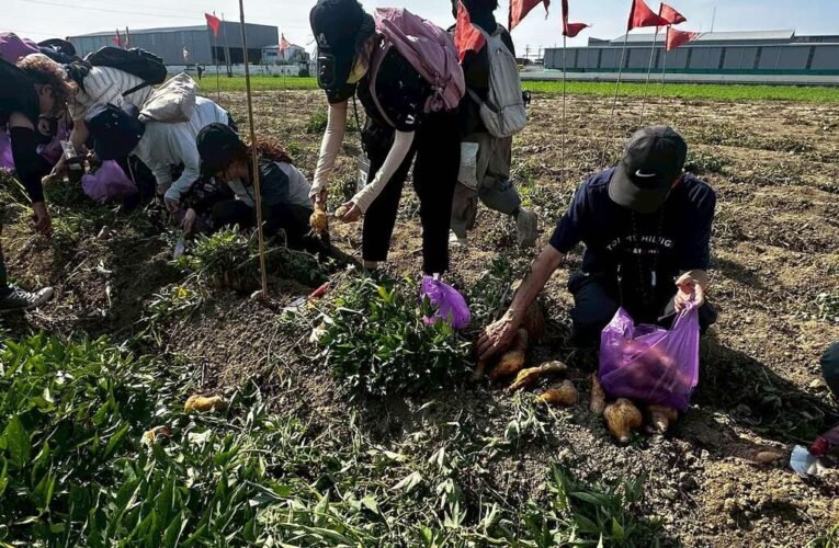 臺南雙層巴士城市尋寶深入產地體驗 遊客直呼太有趣了 盲盒開箱體驗 報名從速