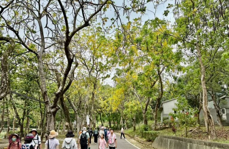 虎頭埤阿勃勒花季浪漫登場 全民健走賞花帶走夏日回憶