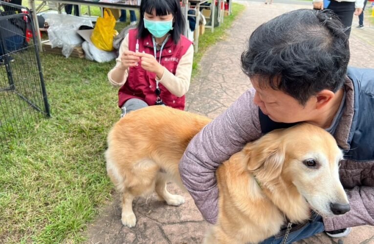 犬貓共同守護！新北庇護工場狂犬病疫苗施打　頸牌換新顏色