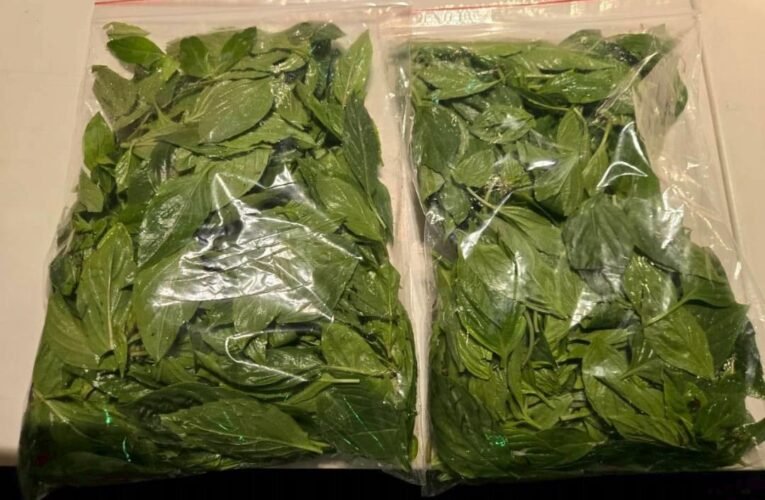 北市衛生局公布4月蔬果抽驗結果　部分產品農藥超標
