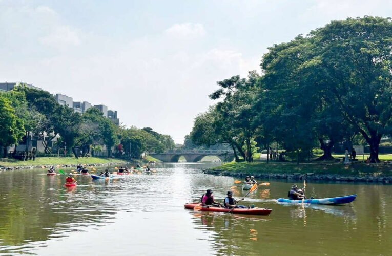 夏日划進月津港！水域遊憩體驗7月18日、19日登場，邀您持槳泛舟，漫遊鹽水最美水岸聚落
