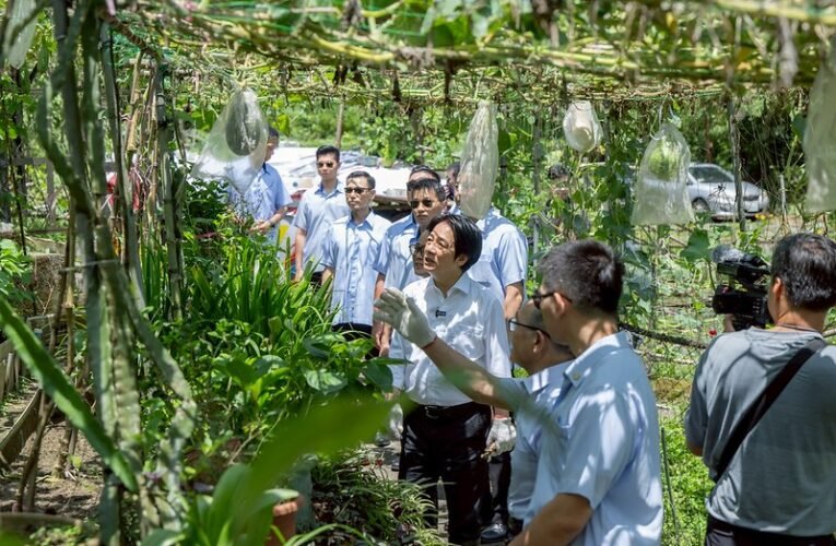 總統參訪泰安市民農園認養中心　盼建立農民社會安全制度並促進農業持續發展