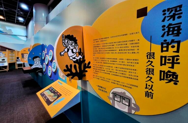 百萬年海洋故事藏在化石裡 嘉市立博物館《未來海洋：化石裡的生態暗號》邀民眾一探究竟
