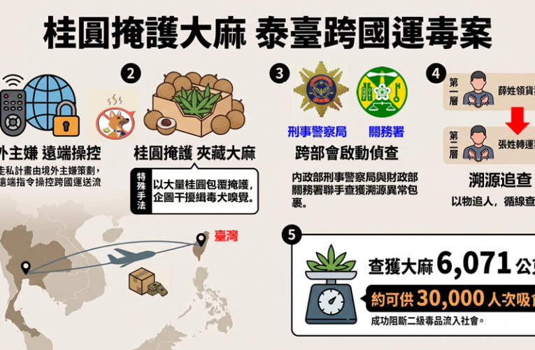 泰國桂圓竟藏6公斤大麻！刑事局、海關聯手破運毒新招　黑市價值驚人