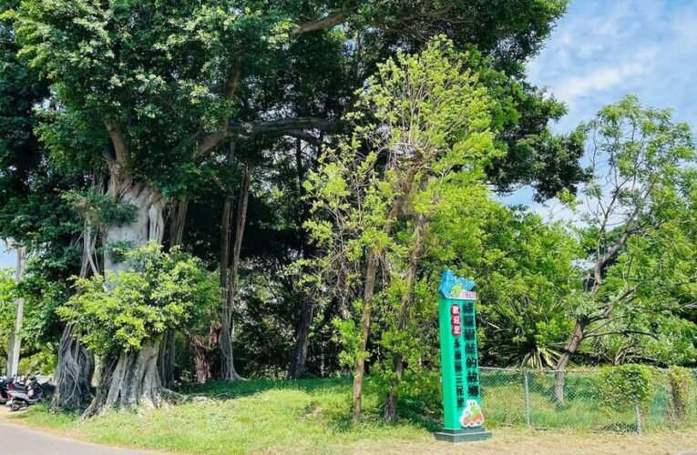 探索永康糖廠祕境！三崁店8月23日特開1梯暑期專場導覽 邀請民眾共賞古蹟與生態之美
