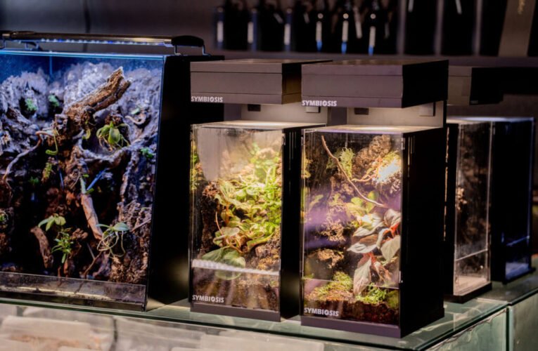翻轉綠植想像、玩出創意潮流！ 青創店家「共生制所」跨界時尚打造生態美學