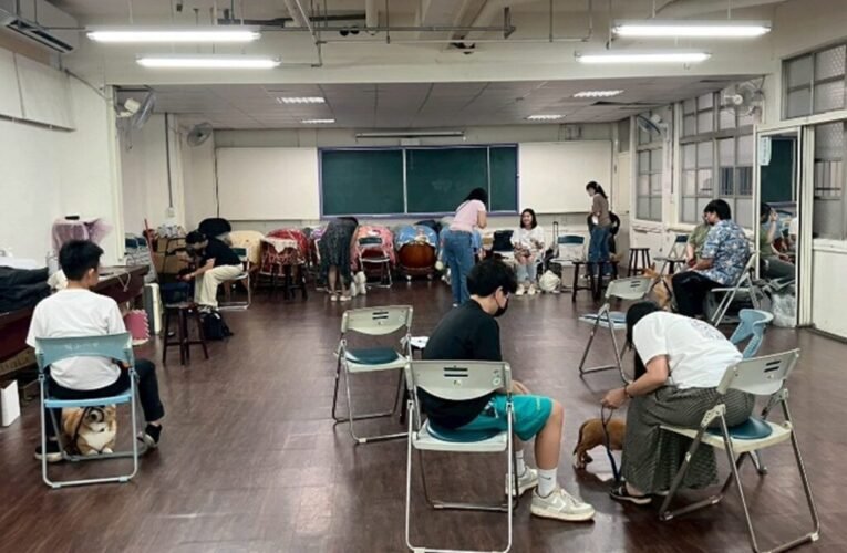 現在報名「毛孩學院」秋季班享好康 千元禮券和好禮等您拿