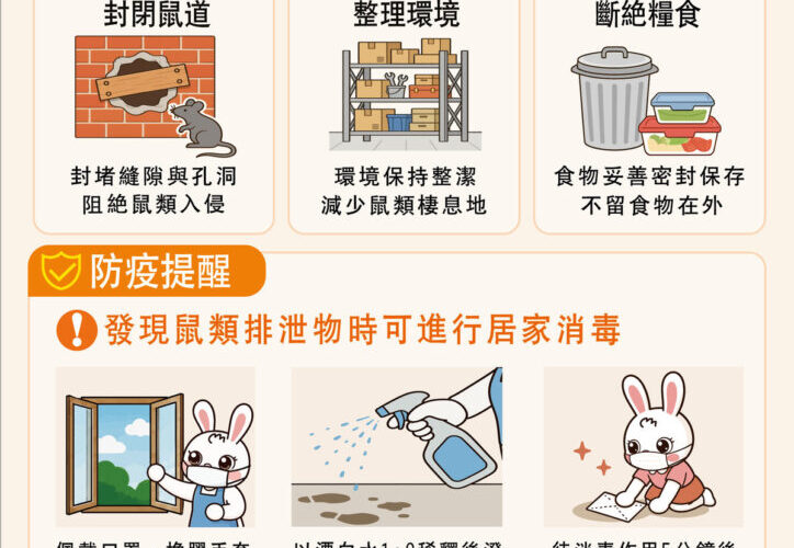 防範老鼠進家門 全民滅鼠大作戰