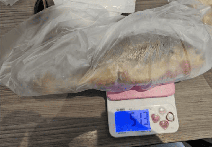 守護水產品食安　台北衛生局公布115年第2波抽驗結果