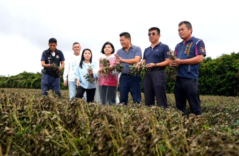薔琵颱風強風重創雲林農作　張麗善縣長：爭取全品項現金救助