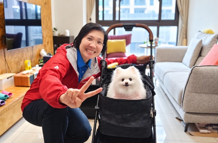 徐欣瑩提寵物友善城市四大政見　犬貓絕育補助最高增至2500元